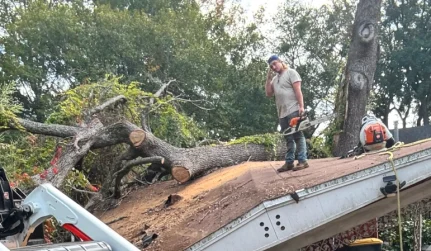 Hurricane Prep and Storm Work 2