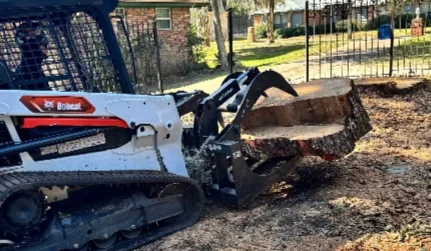 Stump Grinding and Debris Removal 2