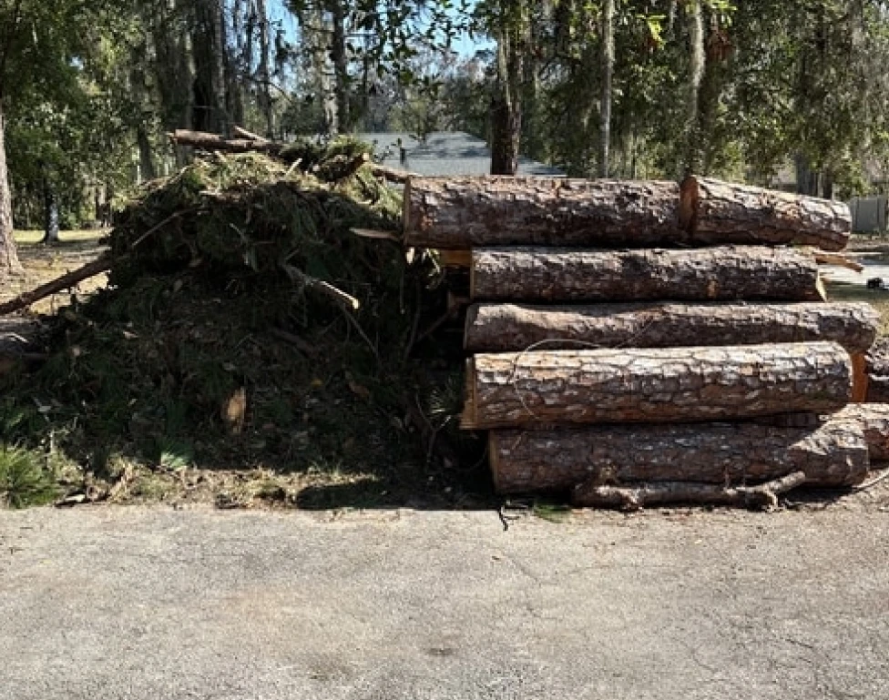 Tree Removals and Hazardous Removals 1 Tree Removals and Hazardous Removals 1