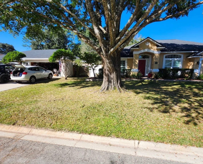 tree trimming residential services